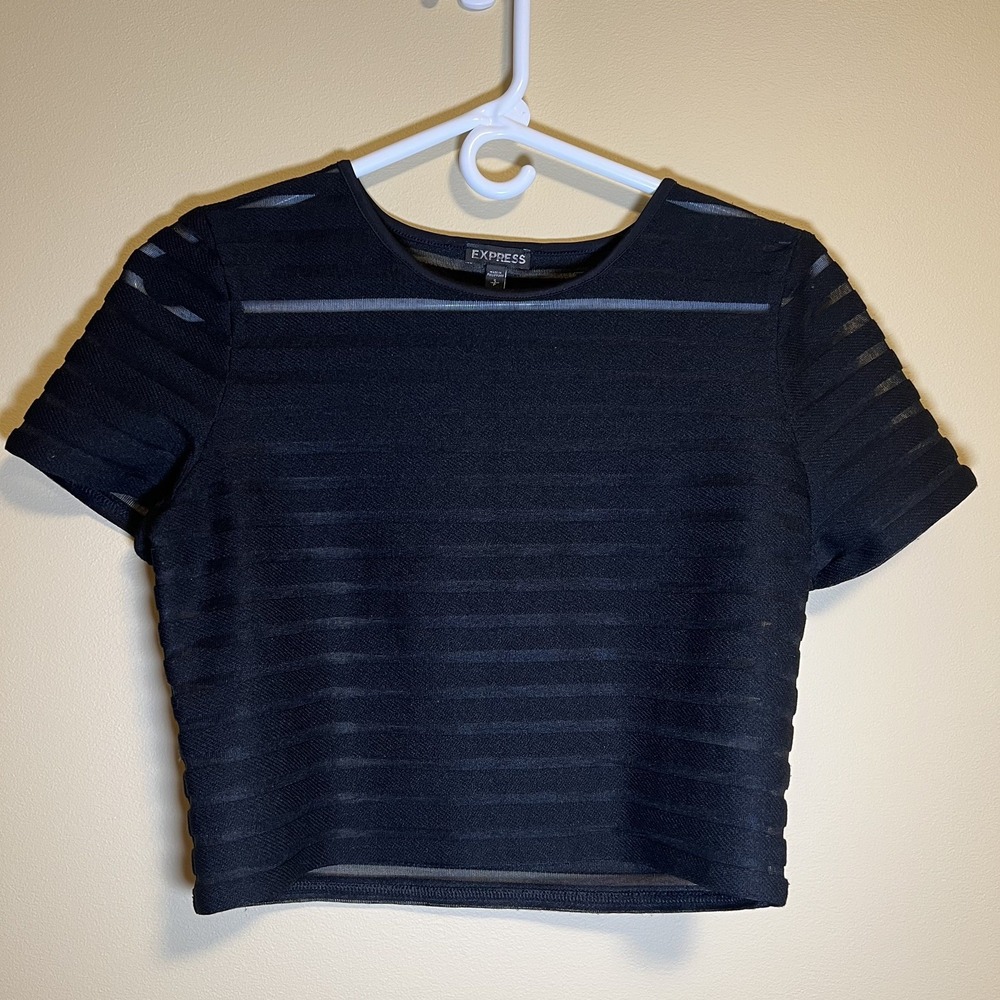 Express Women's Top Fairy Goth Crop Striped Sheer Size Small
